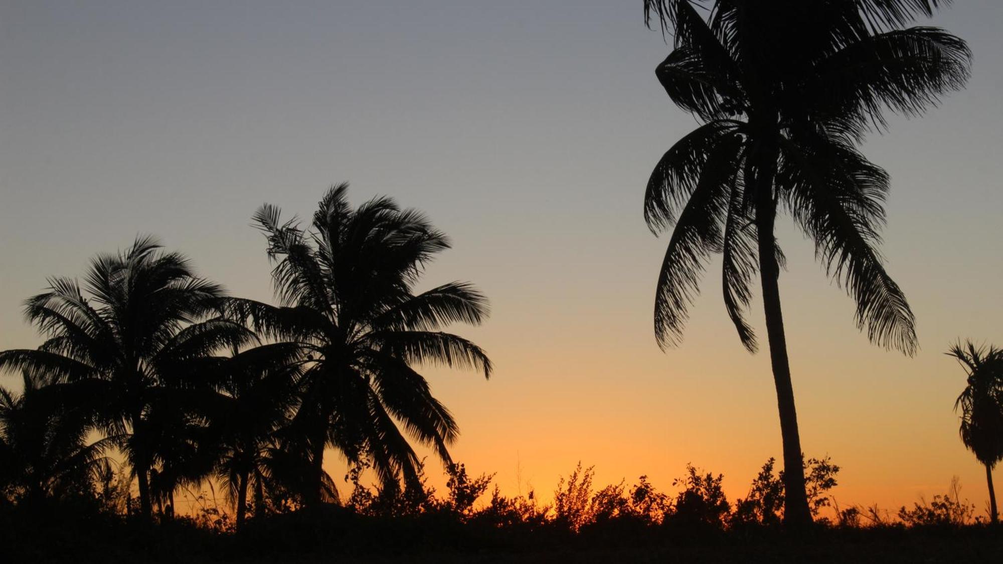 Ikarus Costa Mujeres Eco Lodge Sunset View Cancún Exterior foto