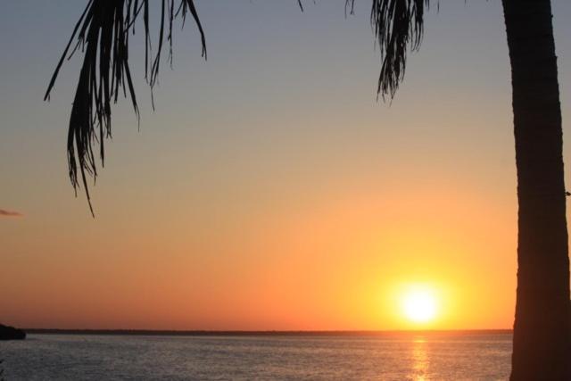 Ikarus Costa Mujeres Eco Lodge Sunset View Cancún Exterior foto