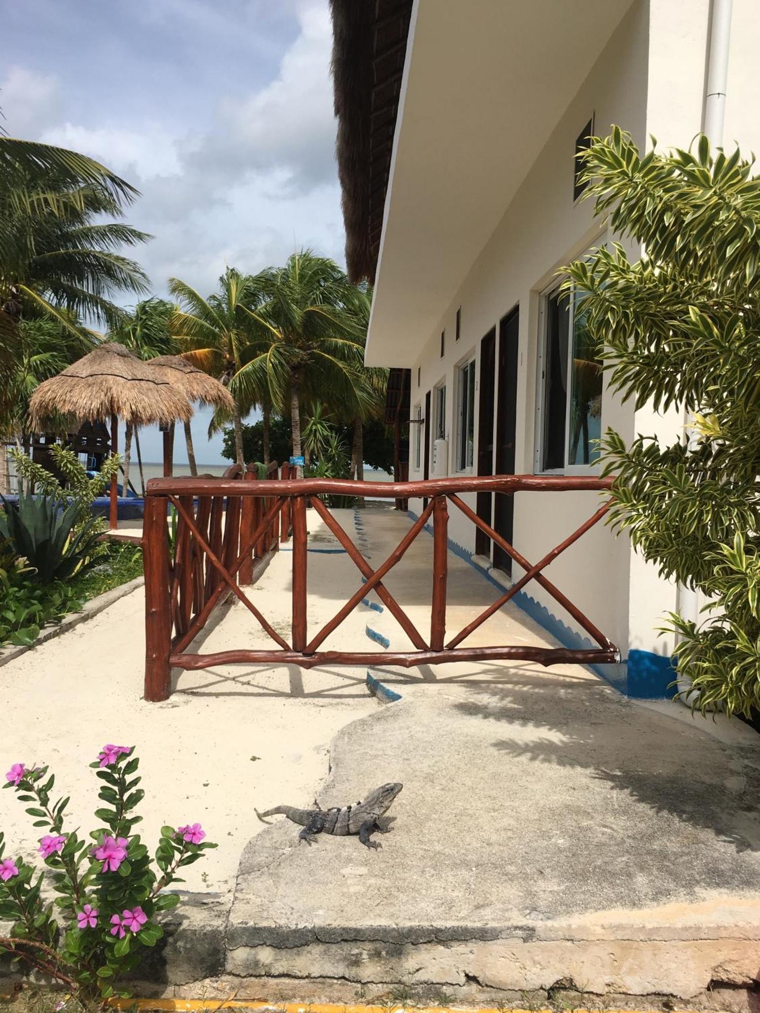 Ikarus Costa Mujeres Eco Lodge Sunset View Cancún Exterior foto